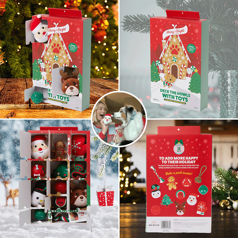 Dog Christmas Advent Calendar