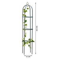 Garden Trellis for Climbing Plants