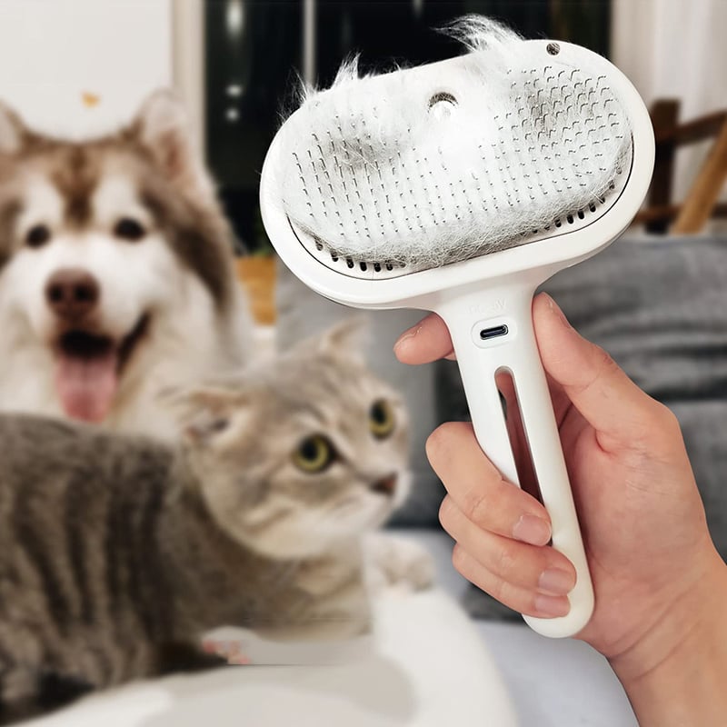 Spray-Katzenbürste