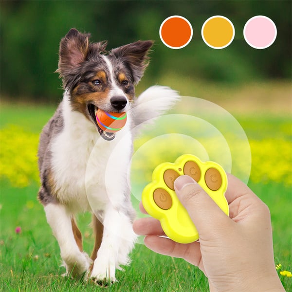 Pet Electric Smart Ball