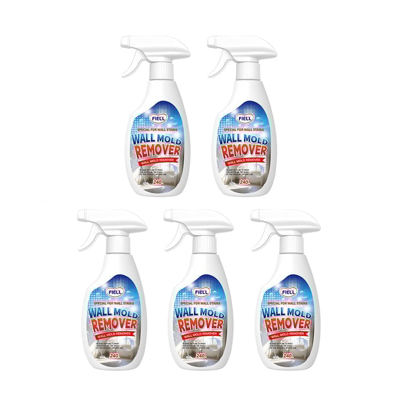 Fast Acting Anti-Mold Wall Cleaner Spray