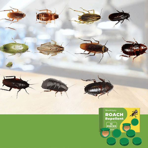 Kakerlak-afvisende middel