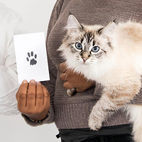 New Pet Paw Printing Kit