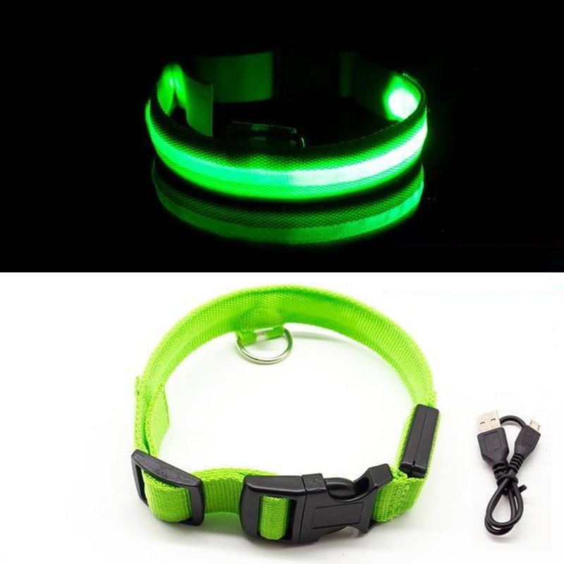 LED-Halsband