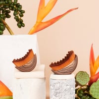 Lymphatic Brush for Body