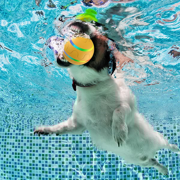 Pet Electric Smart Ball