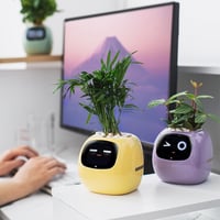 Smart AI Flowerpot with Temperature Display and Animated Expressions