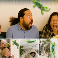 cb99e293-7cf2-49aa-9f52-8d65105e7900