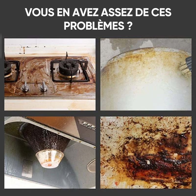 Nettoyeur vapeur portatif à haute température sous pression 2500W