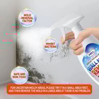 Fast Acting Anti-Mold Wall Cleaner Spray