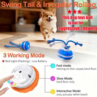 ⭐Interactive Smart Rolling Pet Ball