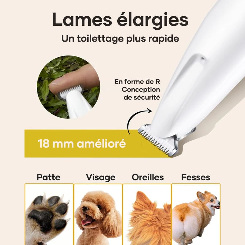 Tondeuse pour poils d'animaux avec lumière LED