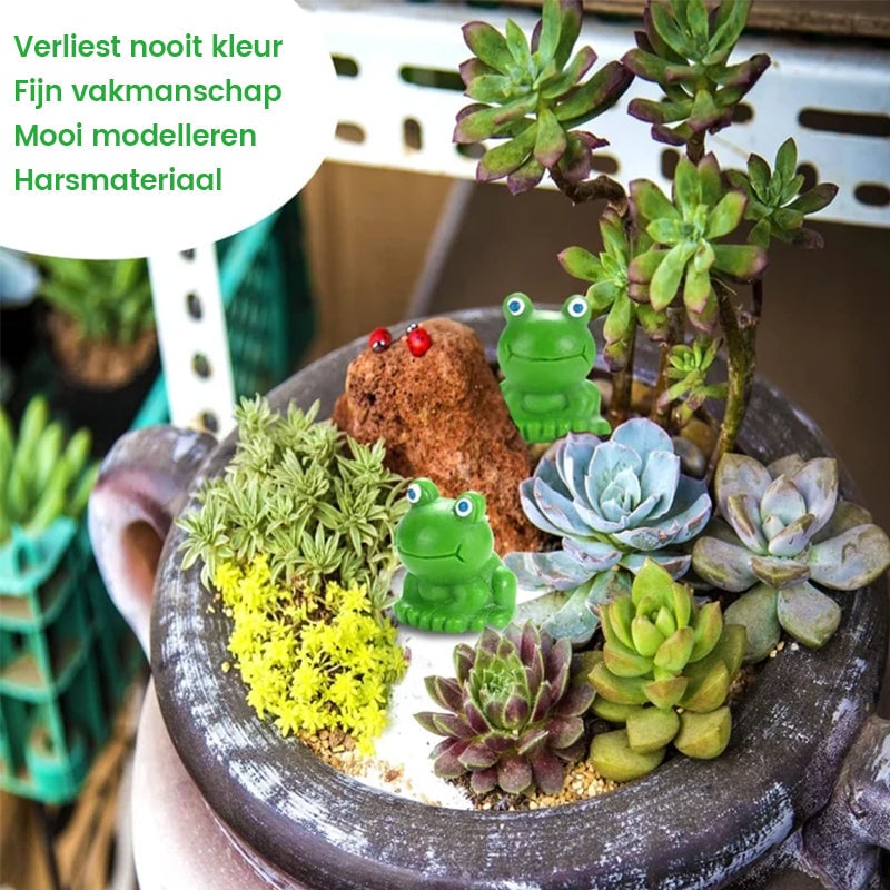 Uitdagingsspeelgoed voor kleine kikkers verbergen