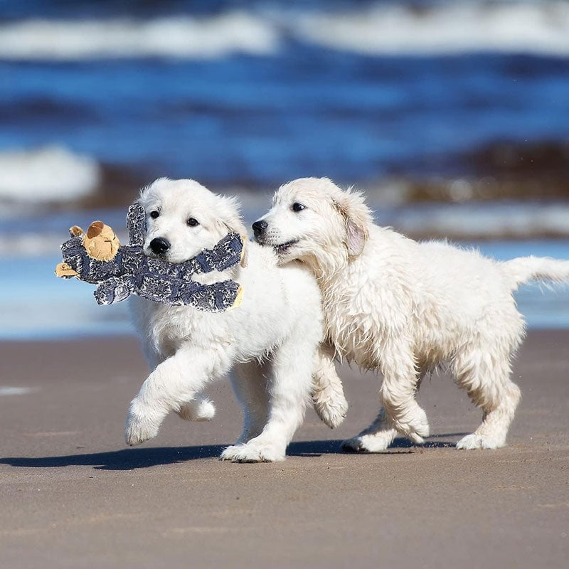 4_623c7e14-4a09-43c4-86ba-b1121891dc1d