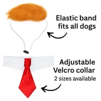 Doggy gentleman bow tie