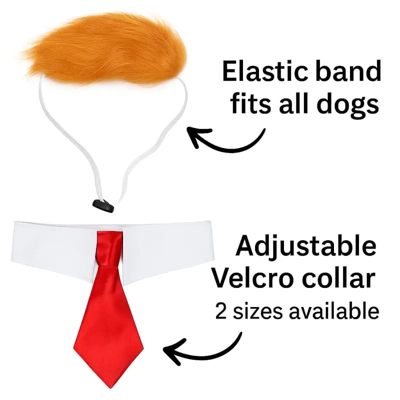 Doggy gentleman bow tie