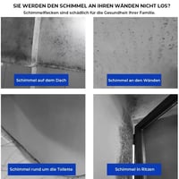 Schnell wirkendes Anti-Schimmel-Wandreinigungsspray