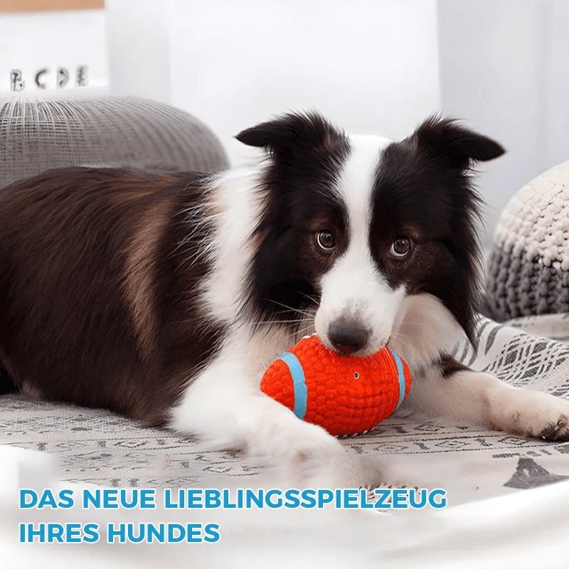 🐶Bissfester Ball für Hunde🐕