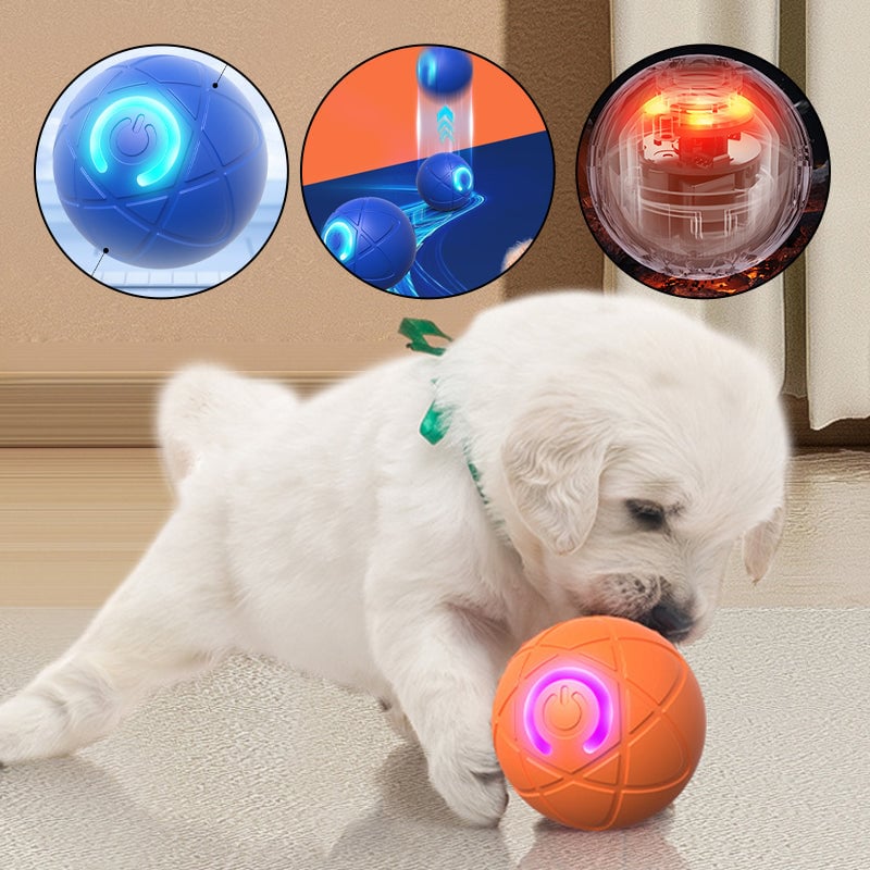 ce5c5a09-c5c8-4846-9290-af0e44260a00