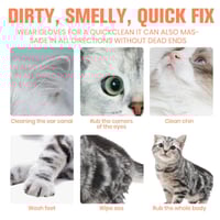 ce6264c7-9a38-4a63-1bbe-117c747a4d00