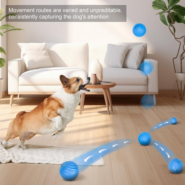 Saker Electric Rolling Pet Toy Ball