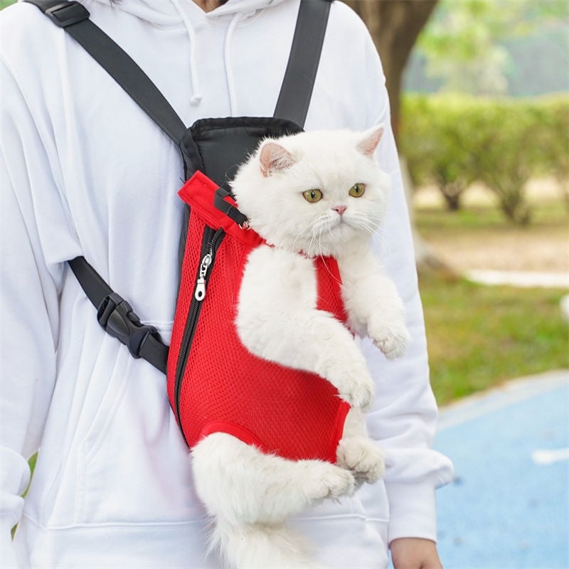 Haustier-Reise-Bein-Rucksack