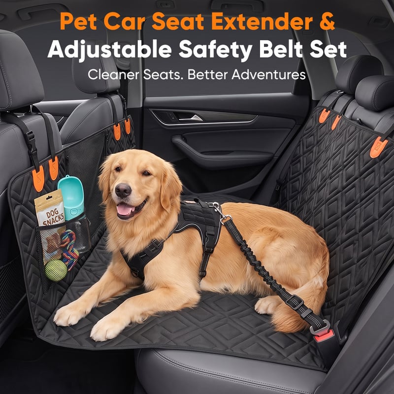 1 (1).jpg