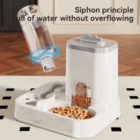 Automatic Pet Feeder and Water Dispenser