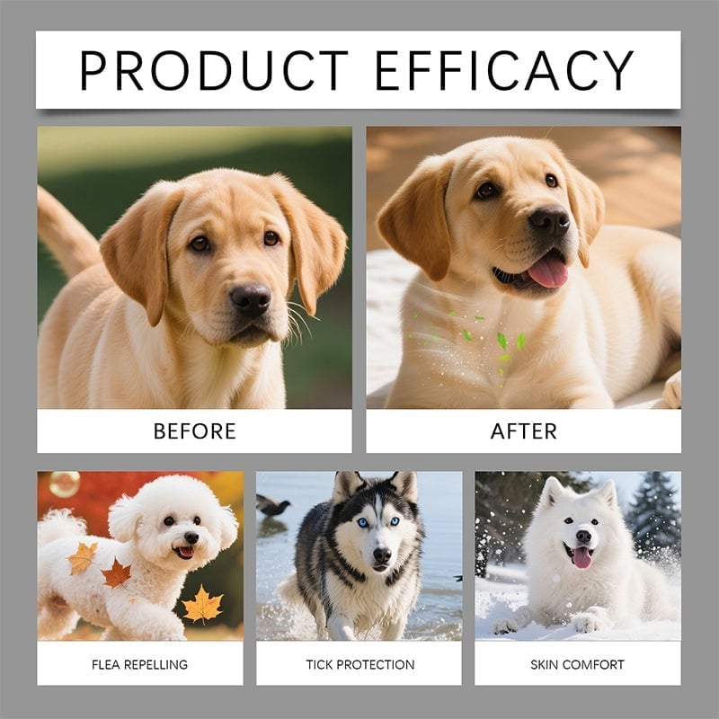 Flea & Tick Dog Skin Care Spray