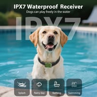 Kexon™ Waterproof Remote Dog Training Collar