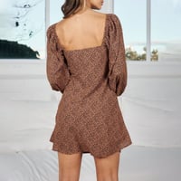 Long Sleeve Leopard Print Dress