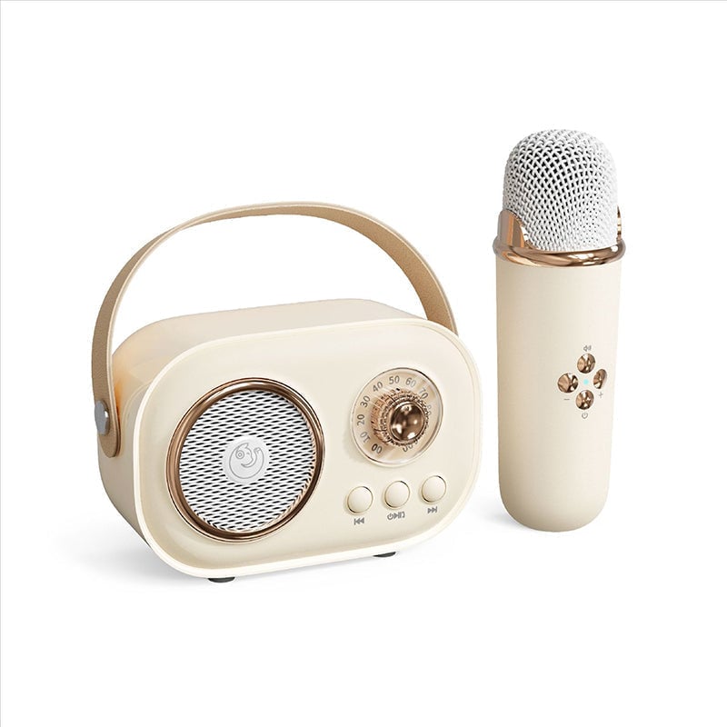 Tragbarer Bluetooth-Lautsprecher mit drahtlosem Mikrofon