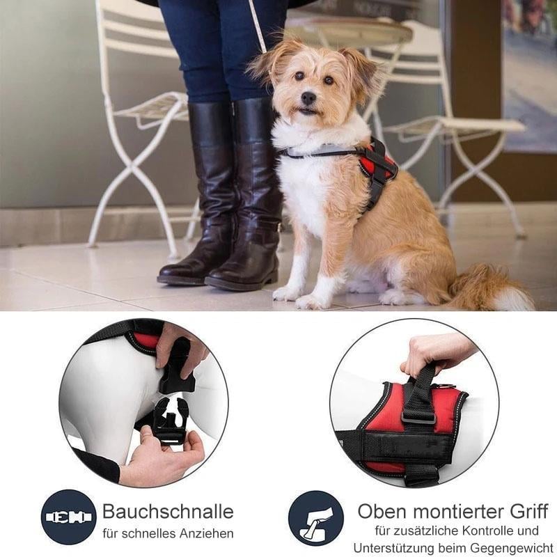 Reflektierende all-in-one No Pull-Hundegeschirr