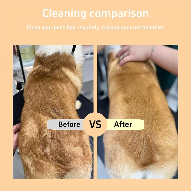 Long & Short Tooth Stainless Steel Pet Comb