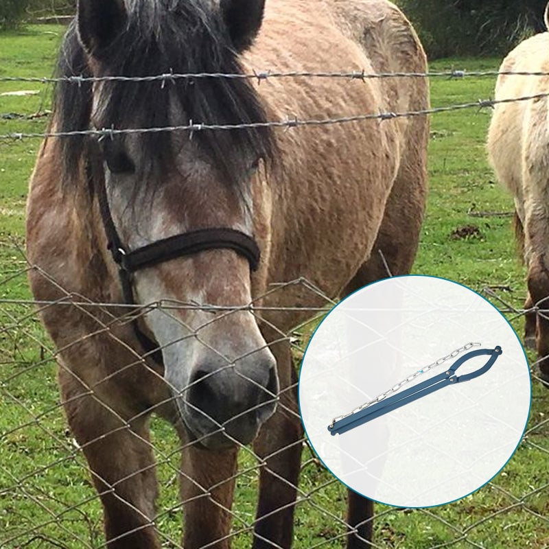 a66f5084-cd02-412d-f262-70abe4ef6700