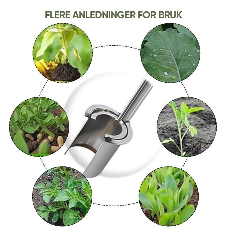 Løkplante Verktøy