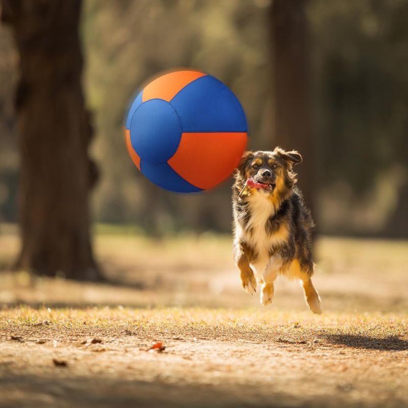 d2f4018b-6535-421a-a04c-608248413900