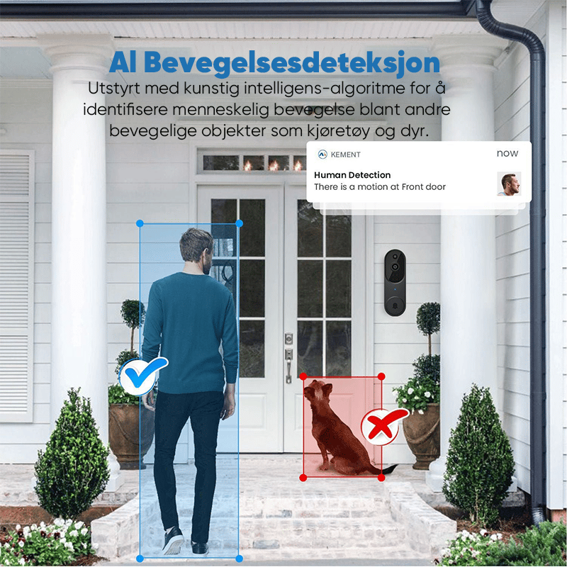 5_08e854a1-8bc2-4301-af5d-2f0d9fb69233