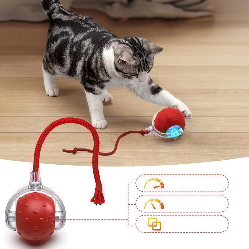 3_326e9ea6-e52a-4167-9751-5ab6f2f95165