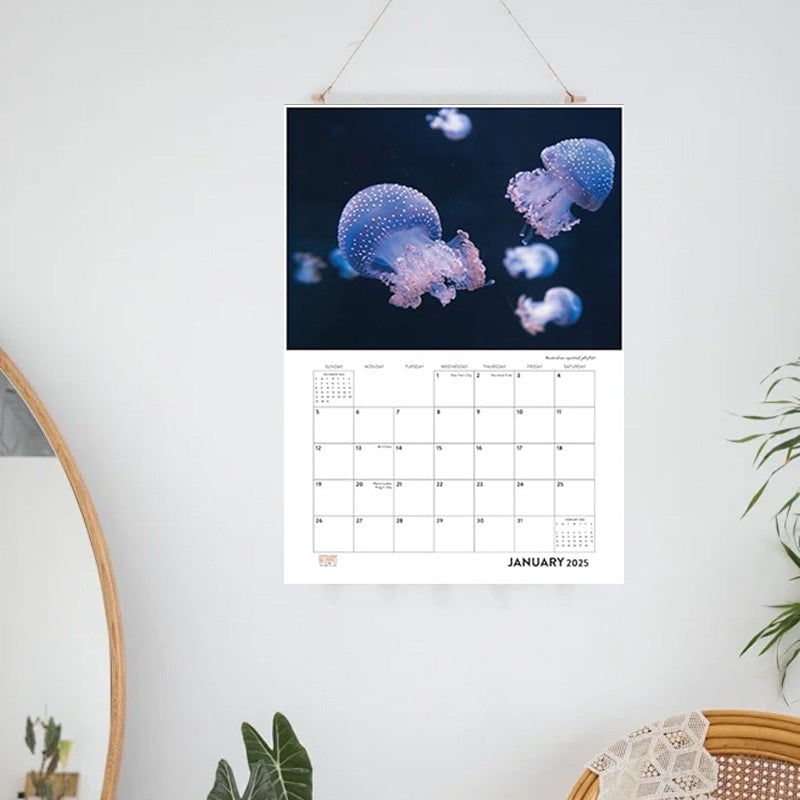 2025 Jellyfish Calendar