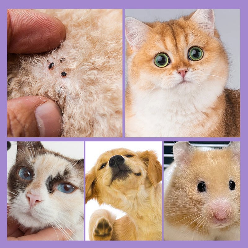 01_8_ed64a576-0dd1-4ce4-aa3e-6a1a603e127a