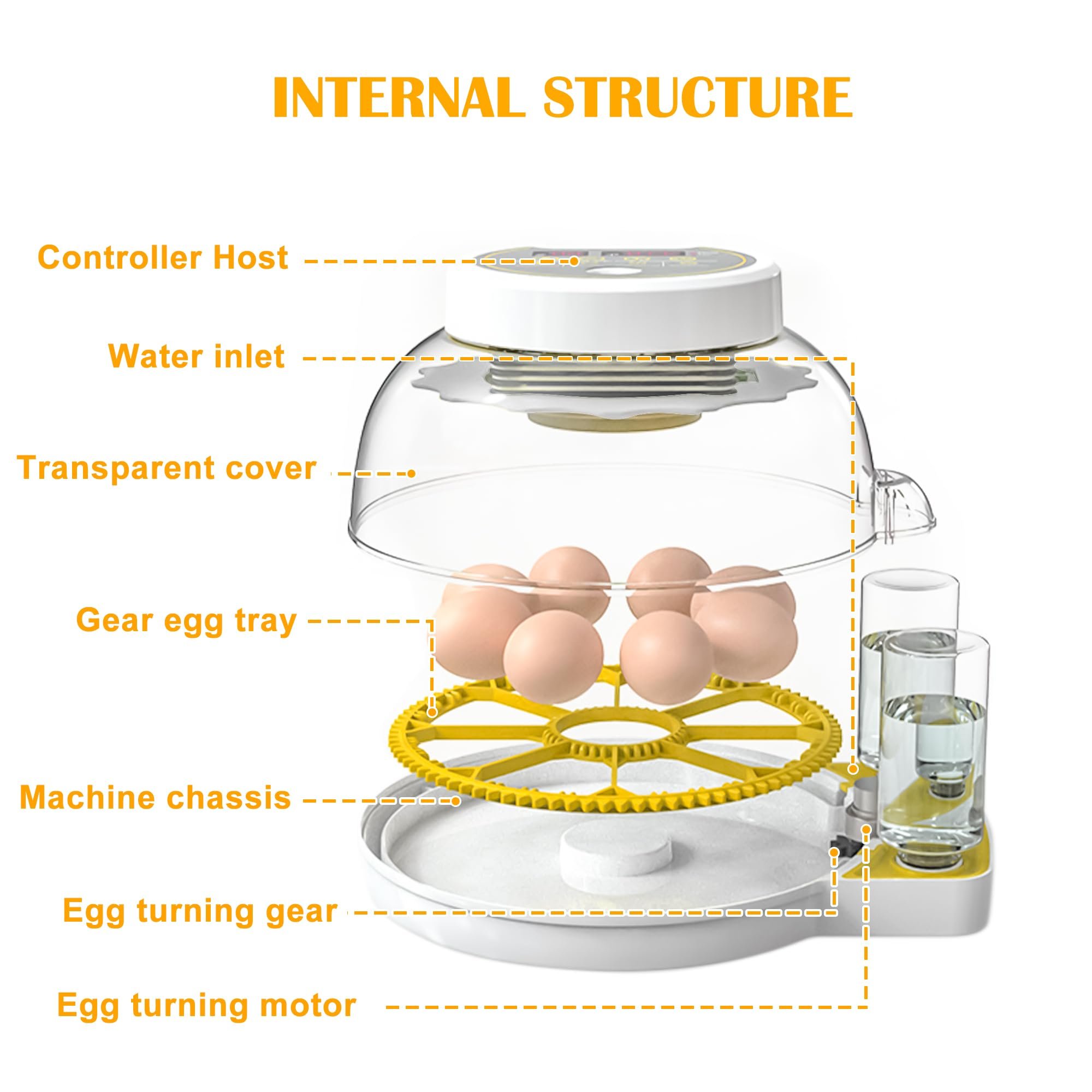 Egg Incubator