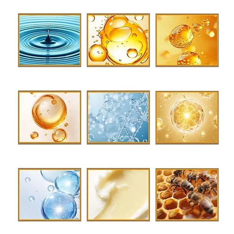 1_6_b0cf2386-f9b2-45c8-8724-d1715a4ef957