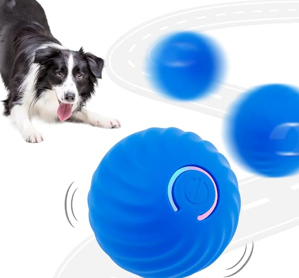 Interaktiver Indoor-Katzenball