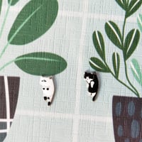 🎄Nåltråder for katter💞