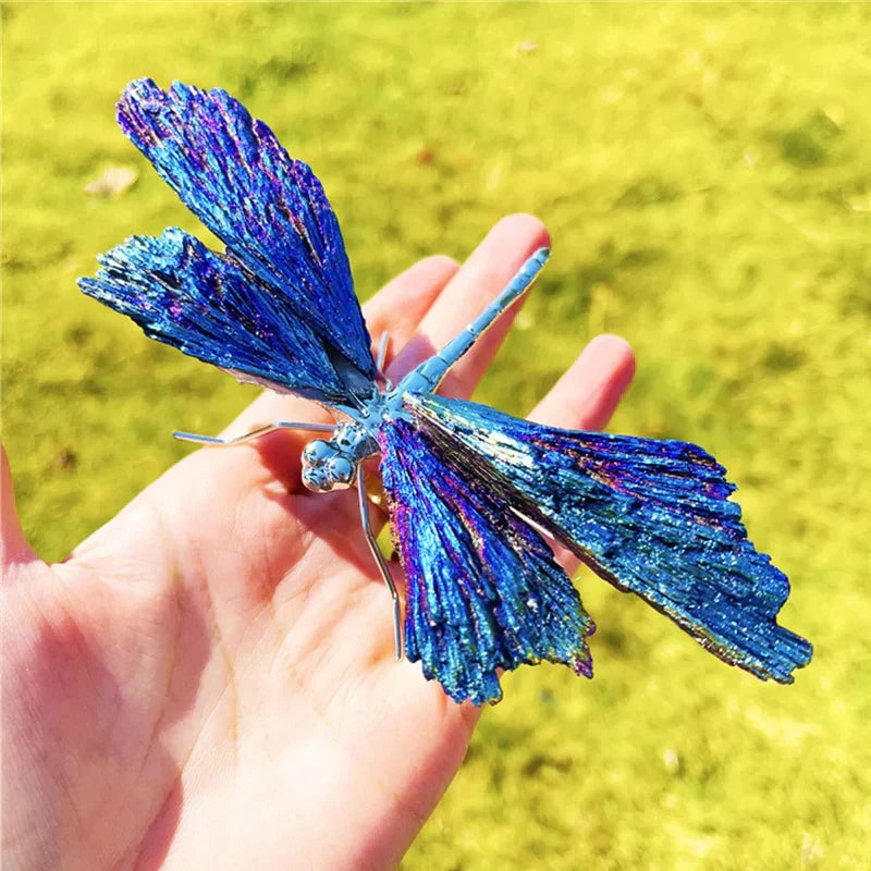Libellule Aura Tourmaline Kyanite