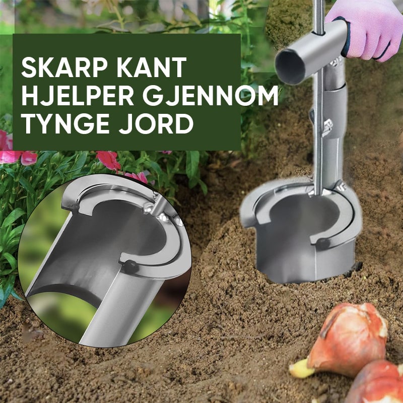 Løkplante Verktøy