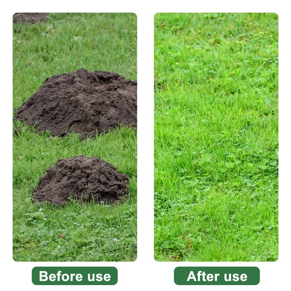 d5b21f00-bd43-422b-ad43-256c4535d400