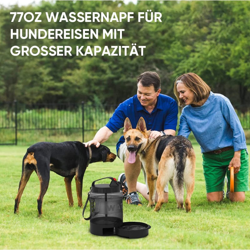 5_d6d13d91-3719-441f-b69b-e2ce8afaa063