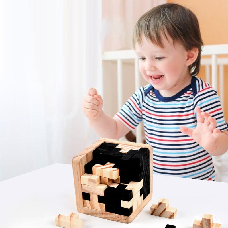 Tre Intelligence Toy Brain Teaser Game